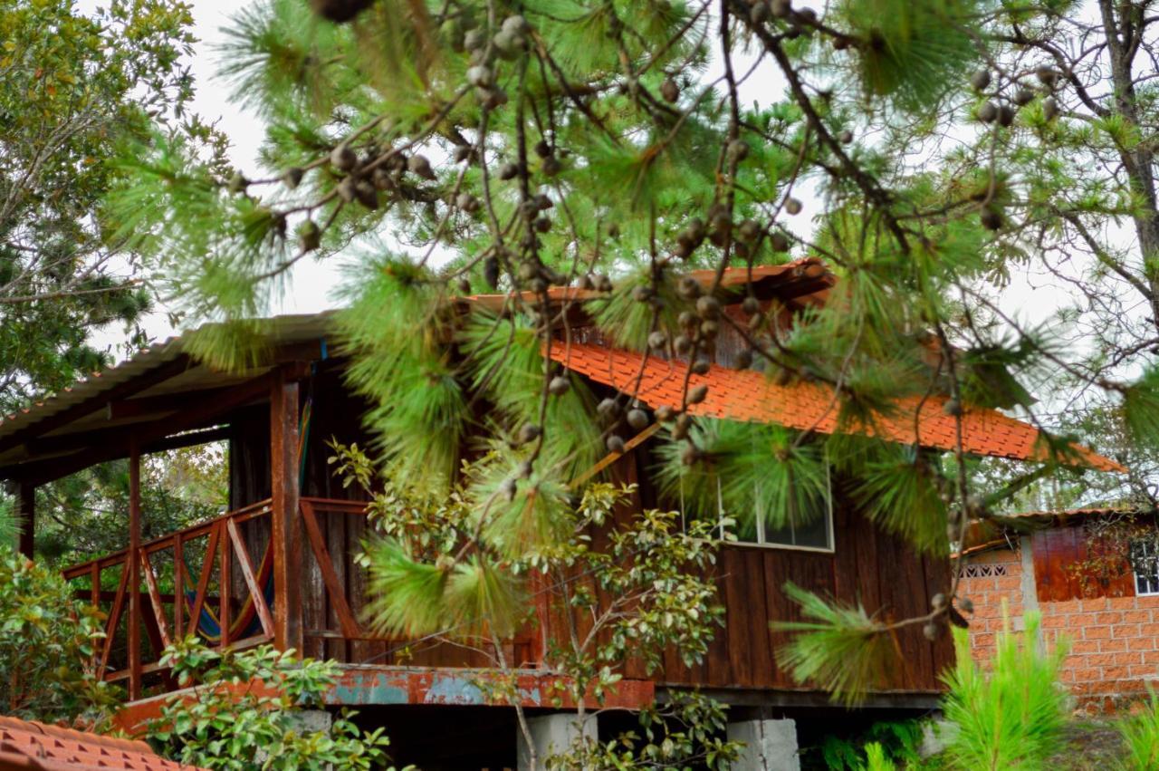 Hotel Y Restaurante Las Margaritas Perquín المظهر الخارجي الصورة